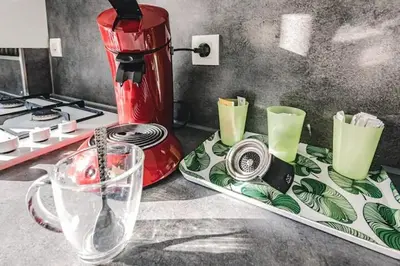 Cuisine ou kitchenette dans l'établissement Terrasse & Bulles - Grand T3 au cœur de Reims