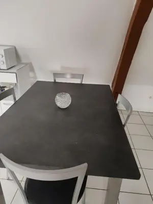 Plan de l'établissement APPARTEMENT FRIZEBOIs