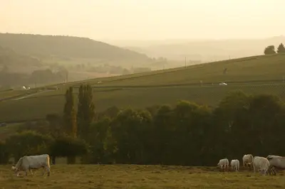 Paysage naturel près de le B&B/chambre d'hôtes