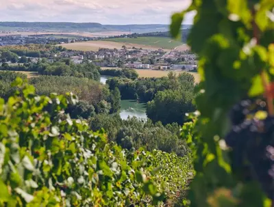 Paysage naturel près de l'appartement