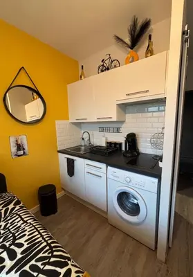 Cuisine ou kitchenette dans l'établissement Avenue de Champagne 1 Chambre