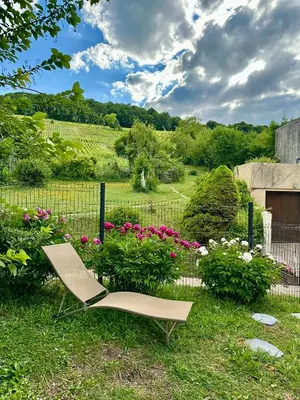 Jardin de l'établissement L'Écrin des Arts - appartement avec jardin au coeur de la Côte des Blancs
