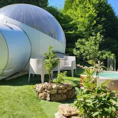 Les Bulles Du Coq De Champagne