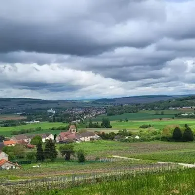 Le Coq De Champagne