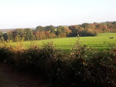 Paysage naturel près de l'appartement