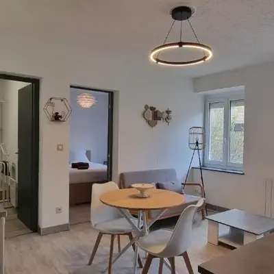 Iris centre-ville T2 rénové cocon cosy parking 35 m2