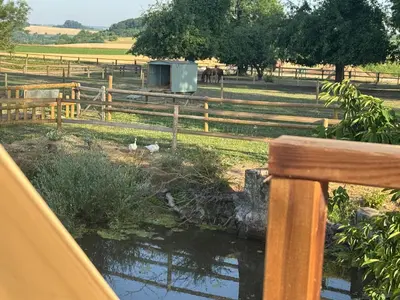 Paysage naturel près de le camping