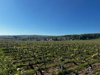 Paysage naturel près de la maison d'hôtes
