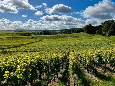 Paysage naturel près de la maison d'hôtes