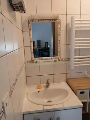Salle de bains dans l'établissement Studio cosy à Sedan avec jardin clôturé de 22 m²