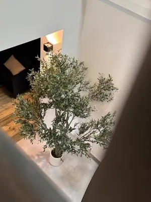 Plan de l'établissement Nuit insolite Lovescape - Sauna & Spa privatif