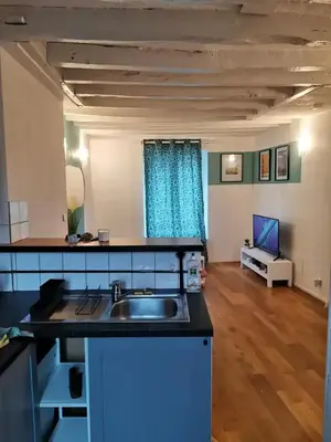 Télévision ou salle de divertissement dans l'établissement Charmant appartement au coeur de Château-Thierry