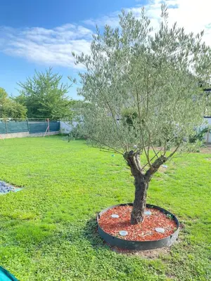 Jardin de l'établissement La Logette