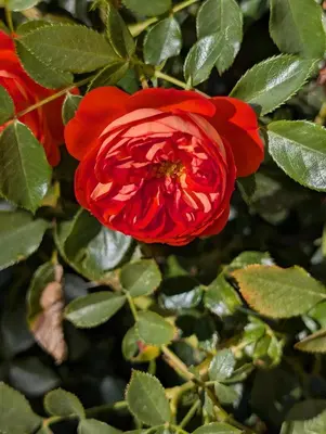Jardin de l'établissement Aux Bulles Colorées d'Athis