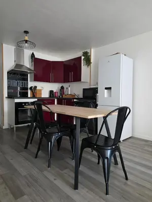 Cuisine ou kitchenette dans l'établissement appartement Sedan, France