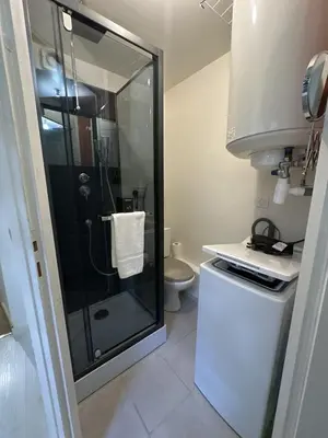 Salle de bains dans l'établissement S Le Cocon des Francs Studio Élégant centre ville