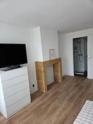 Télévision ou salle de divertissement dans l'établissement Charmante maison de pierre rénovée a 5min de Charleville-Mézières