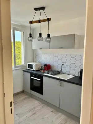 Cuisine ou kitchenette dans l'établissement appartement 30m2 spatieux et lumineux
