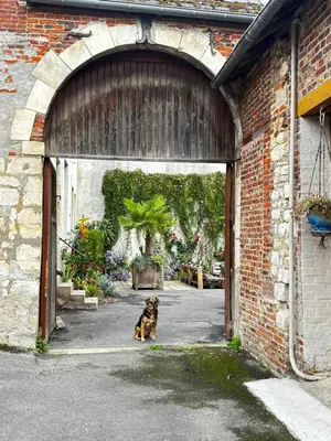 Plan de l'établissement Au Passage