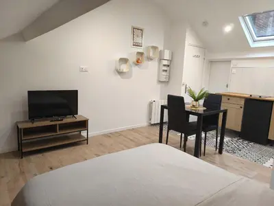 Télévision ou salle de divertissement dans l'établissement Studio confortable avec parking