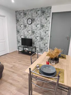 Télévision ou salle de divertissement dans l'établissement Studio Chic avec parking au centre ville