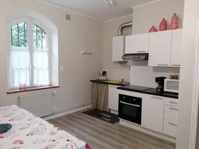 Cuisine ou kitchenette dans l'établissement Le Château d'Ognies