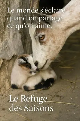 Animaux dans la maison de vacances ou à proximité