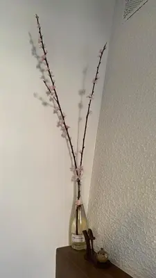 Plan de l'établissement Elegant and cozy city center B&B