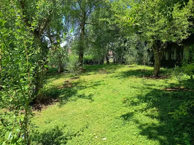 Jardin de l'établissement Chez Jean-Pierre
