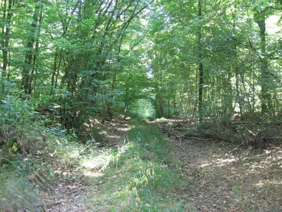 Paysage naturel près de la maison de vacances