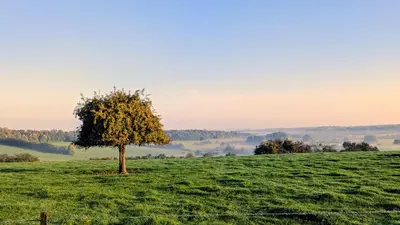 Paysage naturel près de la maison de vacances