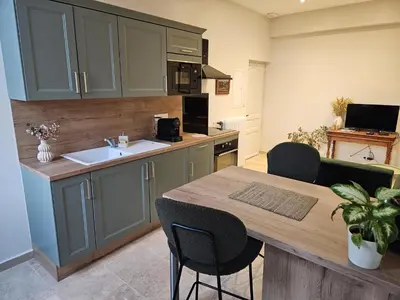 Cuisine ou kitchenette dans l'établissement Château de la Follie Le Berne