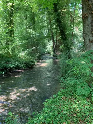 Plan de l'établissement Domaine des Moinets