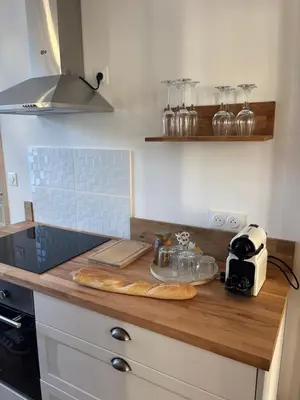 Cuisine ou kitchenette dans l'établissement Résidence ARTHUS Ménalippe