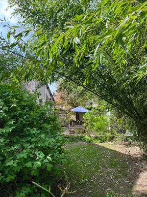Jardin de l'établissement Le Clos des Lilas