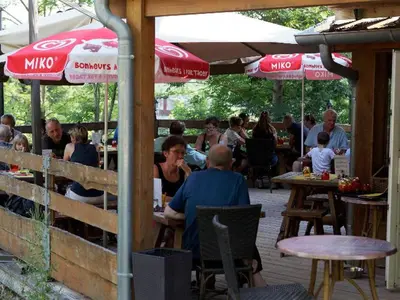 Clients de l'établissement Chalet cosy avec terrasse et poêle à bois pour 5 personnes - API-1-52-974