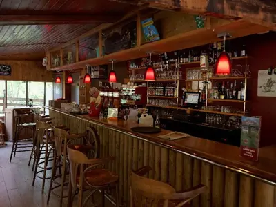 Salon ou bar de l'établissement Chalet cosy avec cuisine équipée et terrasse - API-1-52-1088