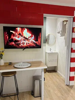 Télévision ou salle de divertissement dans l'établissement Le cozy Cathedral Reims