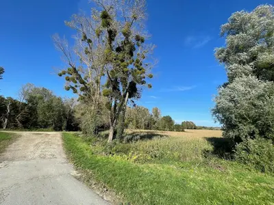 Paysage naturel près de l'appartement