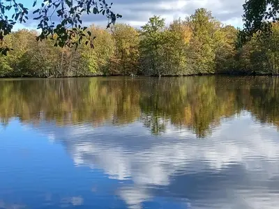Paysage naturel près de l'appartement
