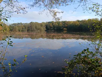 Paysage naturel près de l'appartement