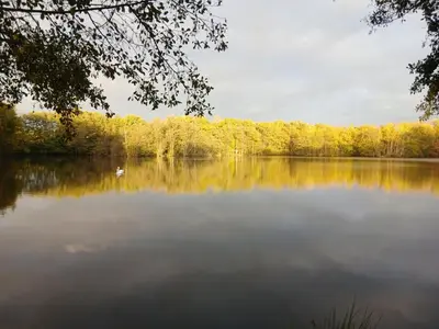 Paysage naturel près de l'appartement