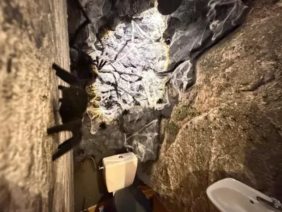 Salle de bains dans l'établissement S Harry Potter 2, une immersion chez les sorciers
