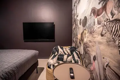 Télévision ou salle de divertissement dans l'établissement Songe de Savane - Spa Ultra-centre St Quentin