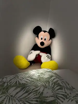 Un ou plusieurs lits dans un hébergement de l'établissement T3 Cosy & Spacieux, Gare à 1min, Disneyland 15min