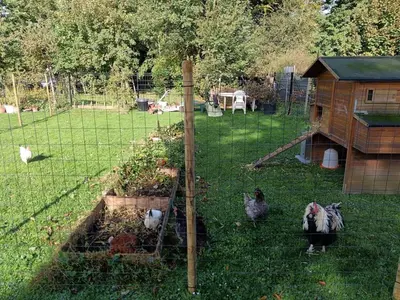 Jardin de l'établissement L'annexe