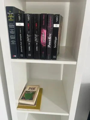 Bibliothèque dans l'appartement