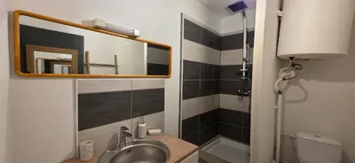 Salle de bains dans l'établissement Ema centre-ville T2 rénové cocon cosy parking 34m2