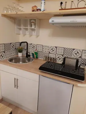 Cuisine ou kitchenette dans l'établissement Bel studio rénové au cœur de la ville RDC pratique Ground Floor