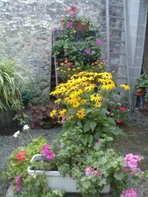 Jardin de l'établissement AMBIANCES chambres d 'hôtes